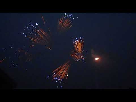 WPL30CA49-02-C Gold tail to gold willow with blue star in mass production