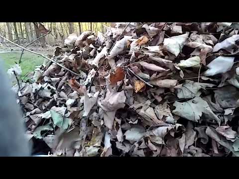 Fall clean up..pushing and chopping up leaves with the Dixie Chopper.