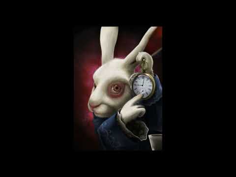 Rabbit meme 1 hour – All roads lead to Rome 🐰🔥