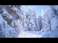 Winter Season White Snow Relaxing Music With Nature Sounds