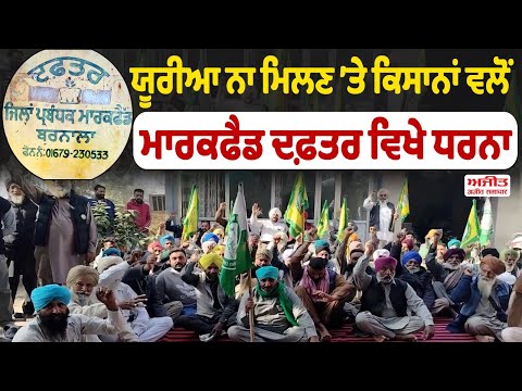 ਯੂਰੀਆ ਨਾ ਮਿਲਣ ’ਤੇ ਕਿਸਾਨਾਂ ਵਲੋਂ Markfed ਦਫ਼ਤਰ ਵਿਖੇ ਧਰਨਾ