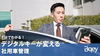 動画のサムネイル