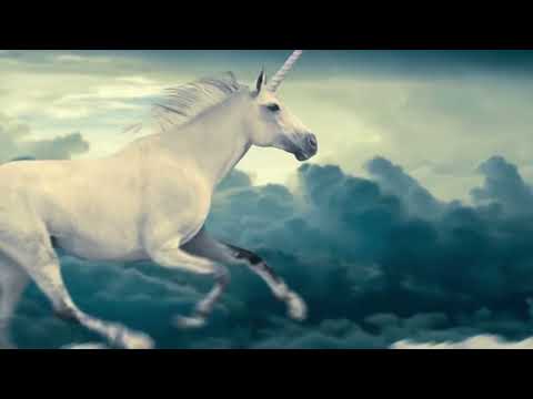 ANNELI - Kruiisime (Official Lyric Video)