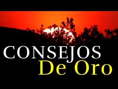 Life's Best Advice and Reflections ¦ Advice Worth Gold ¦ Reflection, Gratitude #life