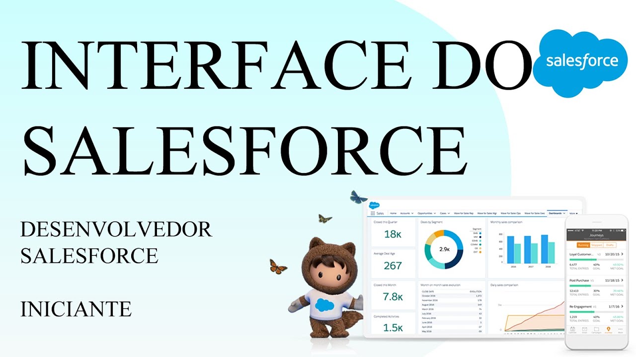 Desenvolvedor Iniciante - Conhecendo a Interface do Salesforce | Aplicativos, Objetos e Registros
