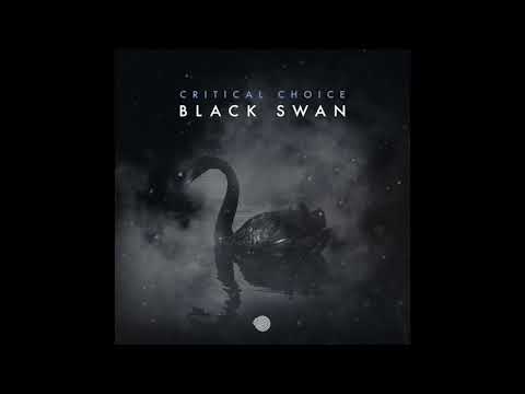 Critical Choice - Black Swan
