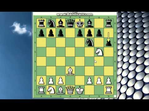 Super potez Skakaca u sahu - Dama je u klopci - WELLING vs FABER # 209 sah i mat