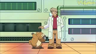 Bidoof attacks Professor Oak | Pokemon quiz