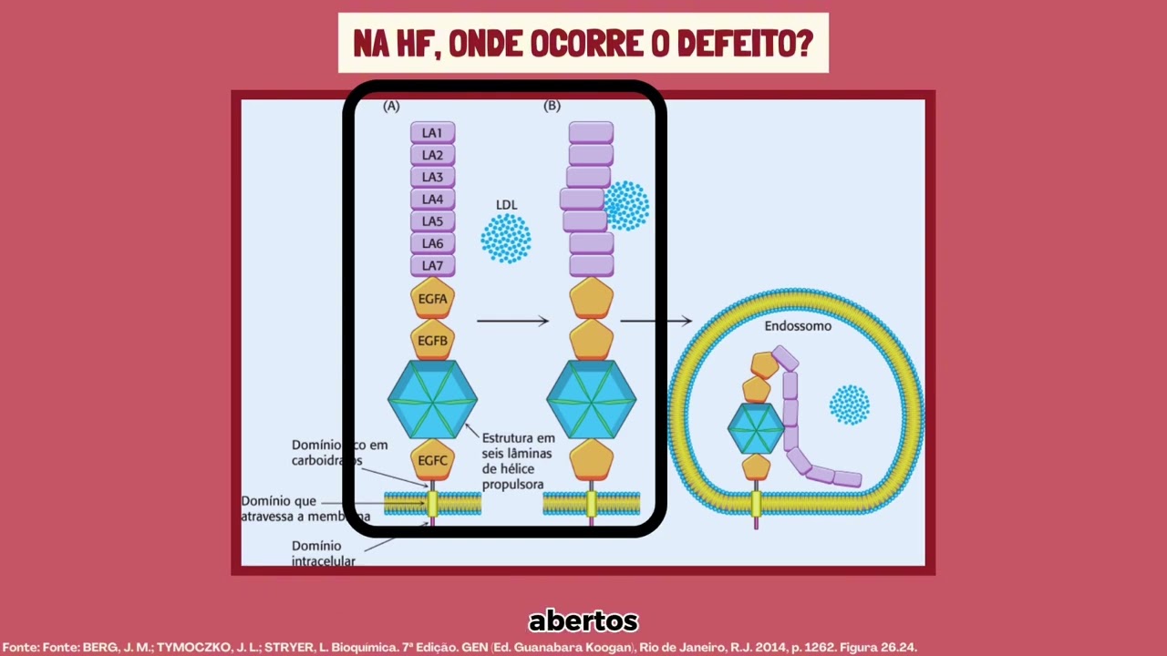 Aspectos bioquímicos da Hipercolesterolemia familiar (HF)