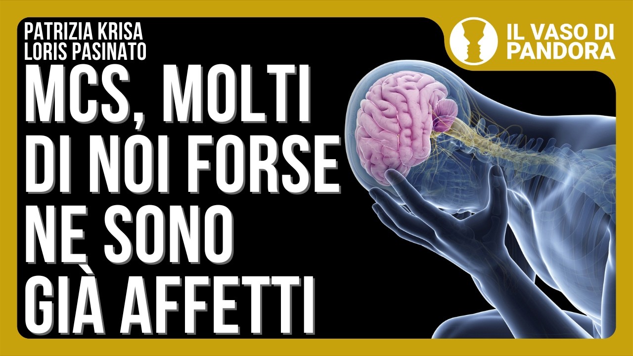 Le patologie invalidanti del progresso - Patrizia Krisa, Loris Pasinato