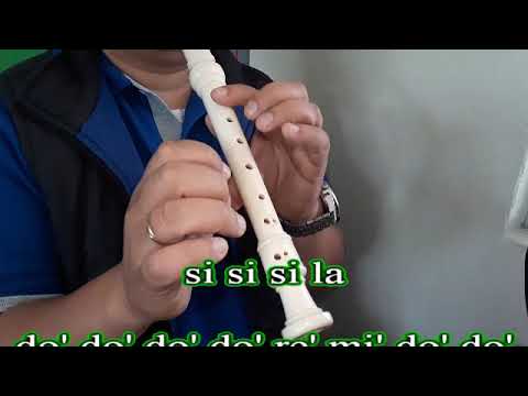 Maroon 5 - Girls Like You  (FLUTE COVER - FLAUTA CON NOTAS)