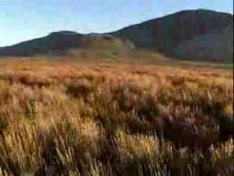 Fynbos: Refugium & Dizu Kuduhorn Band, Stefan Temmingh