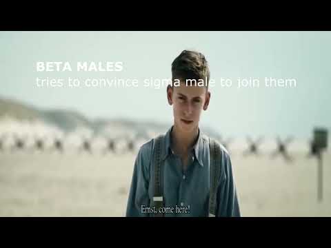 COLDEST MOMENT IN MOVIE HISTORY 🥶🥶 (Land of Mine, 2015)