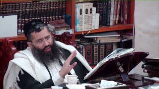 ההלכה היומית ליום שני כ''ט אדר ב' פ''ד   דיני ברכת האילנות