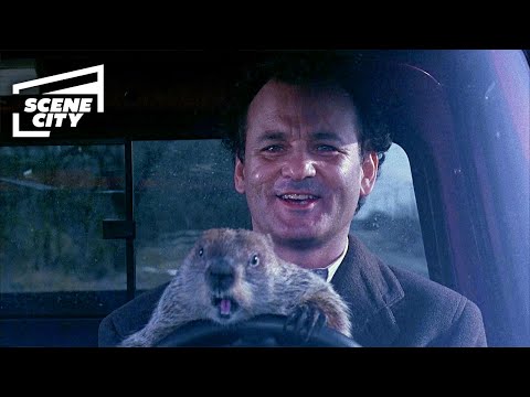 Groundhog Day: Taking the Groundhog With Me! (Bill Murray Scene)