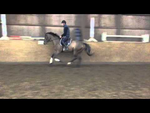 Carthago Z - Quidam De Revel