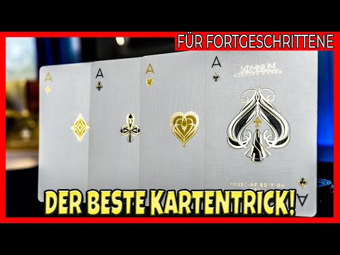 DIESER PROFI KARTENTRICK lässt jeden AUSRASTEN! Mit Erklärung