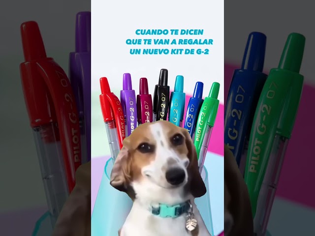 Vídeo relacionado con PILOT - Bolígrafo Premium Acro 1000 en Caja Regalo Plata - Tinta Muy Suave para una Fluidez de Escritura Inigualable - Bolígrafo Recargable y Retráctil - Tinta Negra - Punta Media