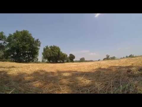 Wheat field - first backflip raw - QA250