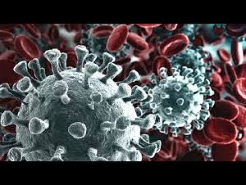 Lo chiamavano coronavirus COVID-19