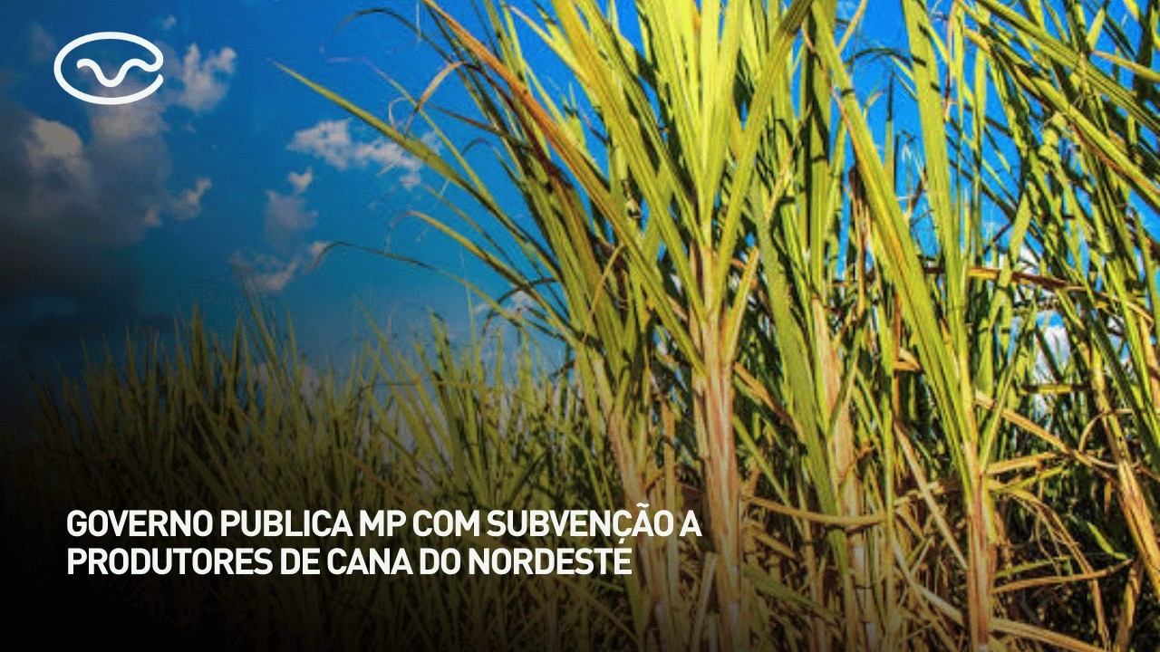 Governo publica MP com subvenção a produtores de cana do nordeste