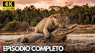 PANTANAL SELVAGEM | Onde as Onças-Pintadas Caçam os Monstros do Rio | Documentário 4K