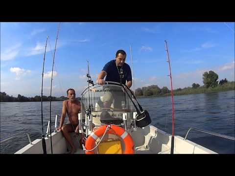 pourquoi la rivière au bord de l'eau