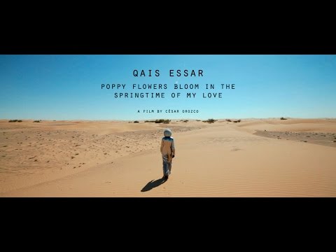 Qais Essar | Poppy Flowers Bloom in the Springtime of My Love