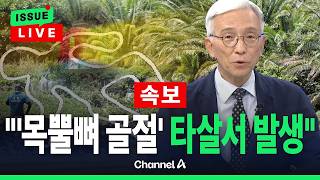 유튜브 썸네일
