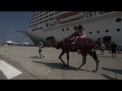 Unlock Your Adventurous Side: Camel Riding Experiences in Africa