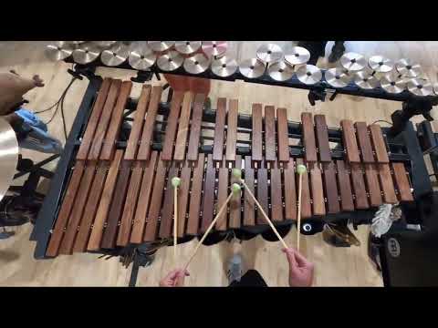 RCC 2023 Xylo/Crotales Headcam - Christopher Nott