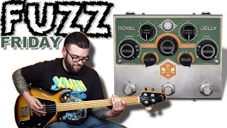 Video thumbnail for Beetronics Royal Jelly | FUZZ FRIDAY EP. XII by The Bass Channel