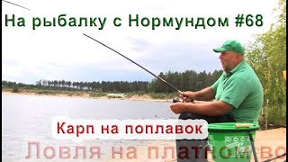 Удилище для ловли карпа на поплавок