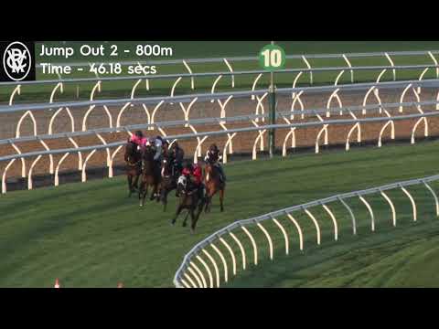 Flemington Jump Outs 8 October 2021 Jump Out 2