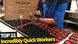 videos de risa trabajadores rápidos