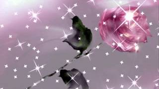 George Hamilton  IV        IVY ROSE