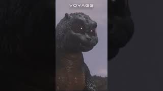 Download lagu the cutest roar! | Godzilla vs. SpaceGodzilla #shorts mp3 Download lagu the cutest roar! | Godzilla vs. SpaceGodzilla #shorts mp3