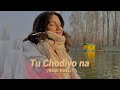 Tu Chodiyo Na Rohit Vinta Slowed Reverb Lklofi2799