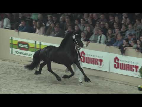 Compilatie rubriek 9