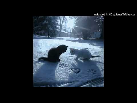 [FREE] ambient jerk + hoodtrap type beat - "cry in the club"