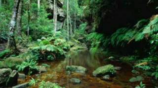David & Steve Gordon (Sacred Spirit Drums) - Rainbow Hoop