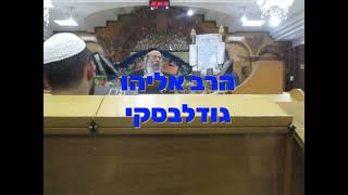 הרב אליהו גודלבסקי | אמונת חכמים רפואה לנשמה - חדדש- שיעור מלא