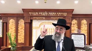 ההבדלים בין נוי הסוכה לבין ארבעת המינים בארץ הקודש ובגלות (הרב יצחק ישראלי) - התמונה מוצגת ישירות מתוך אתר האינטרנט יוטיוב. זכויות היוצרים בתמונה שייכות ליוצרה. קישור קרדיט למקור התוכן נמצא בתוך דף הסרטון