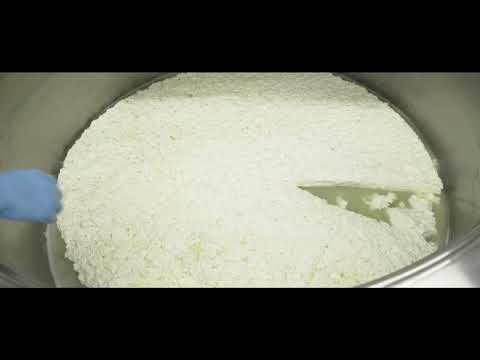 CHEESE STANDの紹介