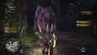 【狩り日記】アンジャナフ・再リベンジ！！前編【モンハン】