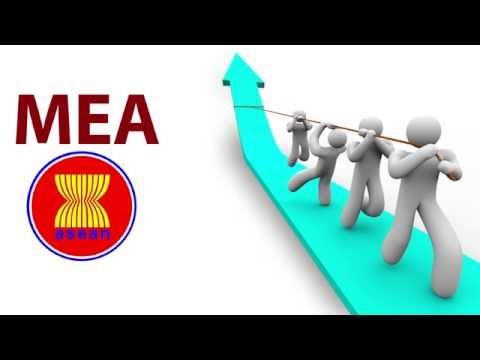 Bagaimana mencari tahu tentang impotensi pada pria Gadis kecil melihat anggota dari