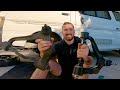 How To Replace Toyota Hiace Upper Control Arms