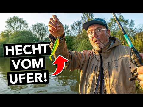 Die 10 besten Tipps, um Hechte vom Ufer zu fangen 🎣 (im Mai und Juni)