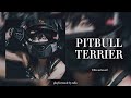 Tiktok Edit Audios I Blast At 3am