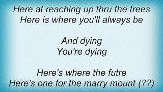 John Frusciante - Dying (I Don&#39;t Mind) Lyrics